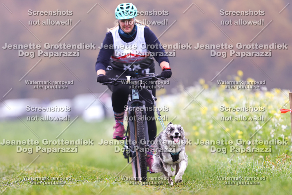 Dog Paparazzi - Visbeck 25 -223 | Dog Paparazzi Jeanette Grottendiek Fotografie & Videografie - Realisiert mit Pictrs.com