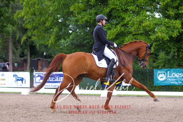 DKP41347 | Turniersportfotografie; Pferdefotografie; Dressurfotografie