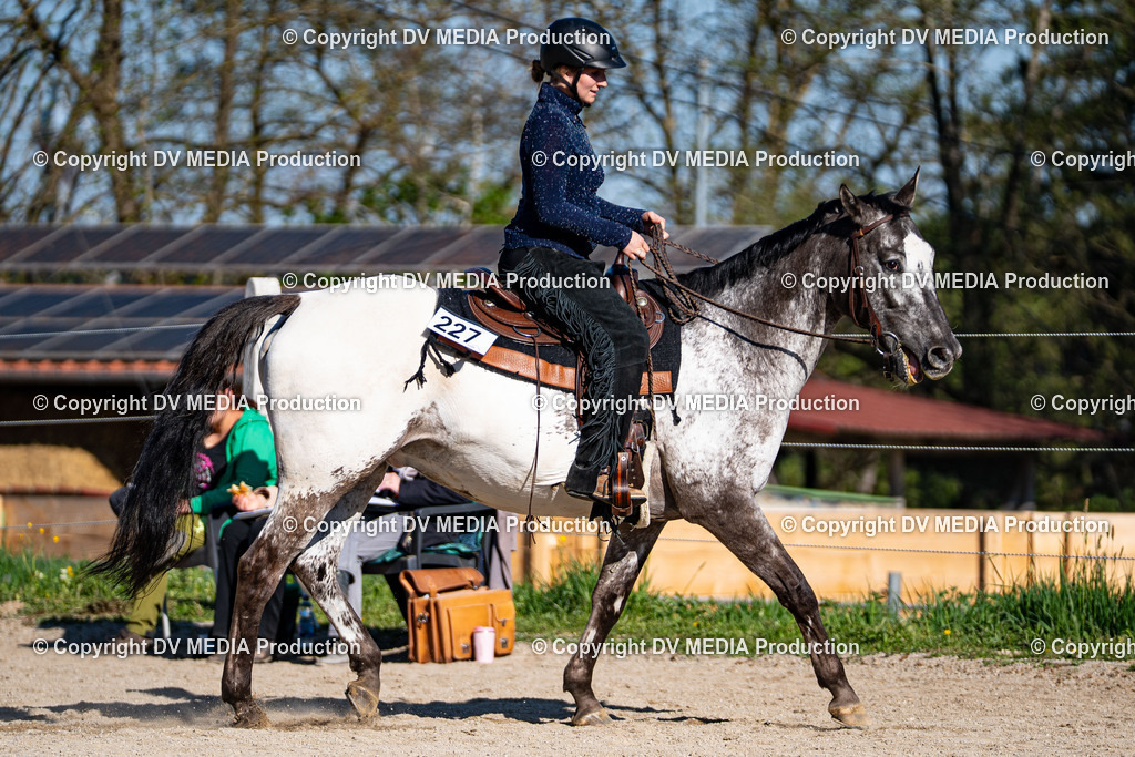 Balingen Tag 1-864 | dv-media-shop - Realisiert mit Pictrs.com