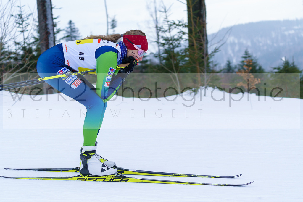 DSC Arber | Bayerischer Wald am 9. bis 12. Februar 2023
