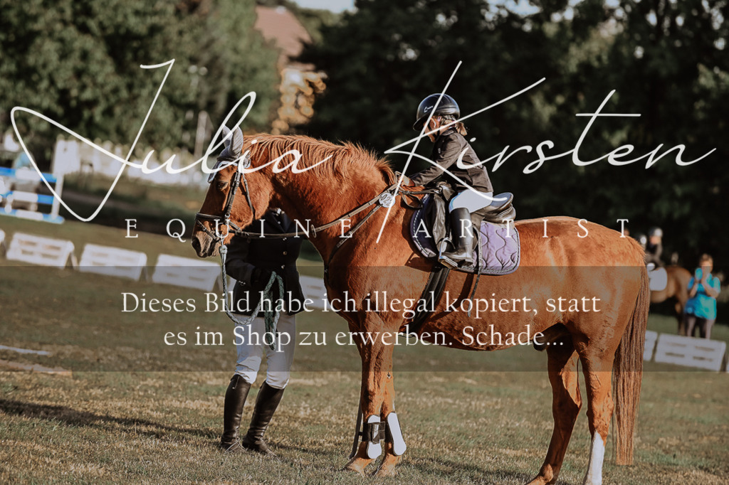 DSC_0183 | Pferde- und Turnierfotografie in Westsachsen. Pferdeportraits, Auftragszeichnungen und intuitive Kunst.