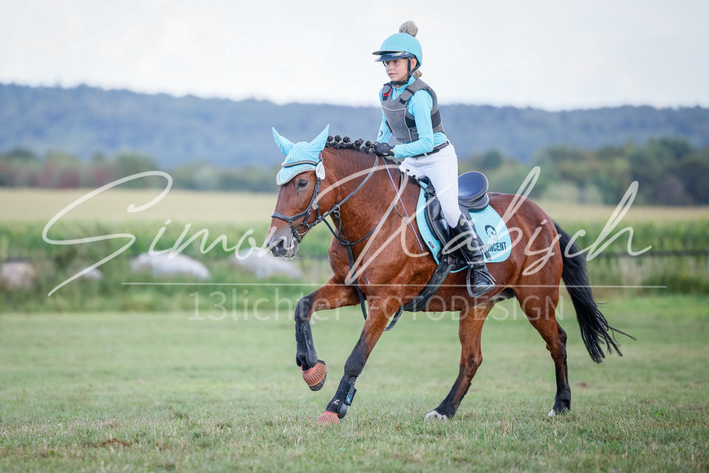 20250905-_3LI2027 | Tierfotografie Pferde, Hunde, Katzen, Haustiere.
Turnierfotografie Reitturniere, Reiten, Springreiten, Dressur in Hanau, dem Main-Kinzig-Kreis und dem Rhein-Main- Gebiet um Frankfurt