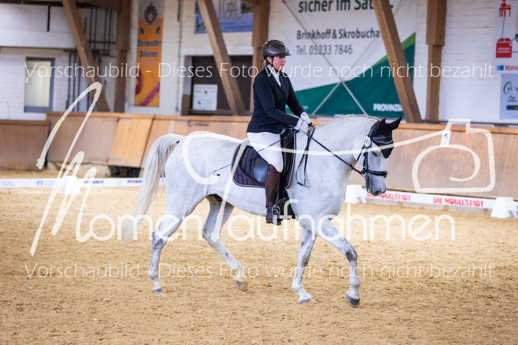 Sth-A-Dre-2St-076 | MomenTaufnahmen Pferdesportfotos