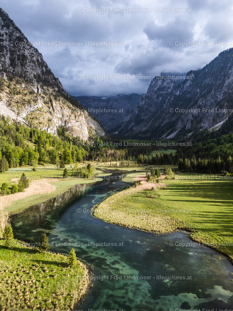 Brunnsee 15052025 _ Fred Lindmoser- | default - Realisiert mit Pictrs.com