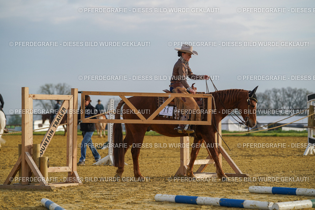 DSC09810 | Pferdegrafie