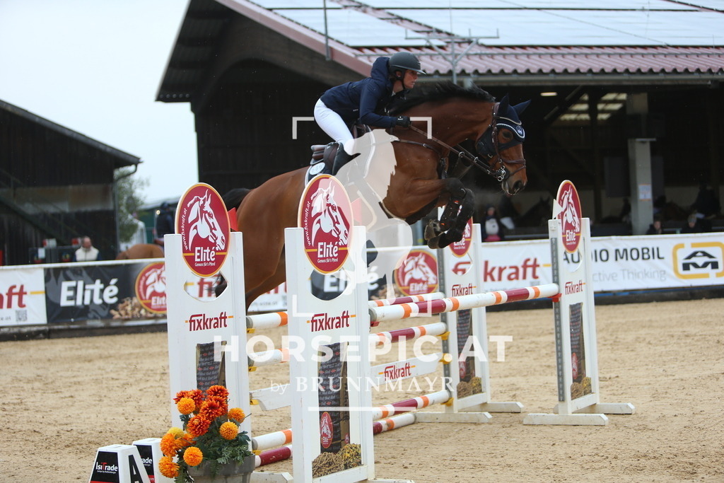 DL2Q6988 | Willkommen bei Brunnmayr - Design & Fotografie – Ihrem Spezialisten für Reitturniere und Pferdeveranstaltungen in Oberösterreich, Salzburg und Bayern! Seit über 17 Jahren sind wir leidenschaftlich dabei.