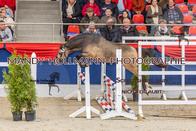 KWERR (262 von 475) | mandyhollmannphotographie