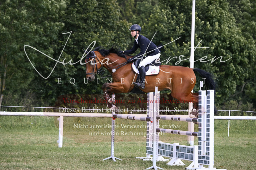 DSC_1005 | Pferde- und Turnierfotografie in Westsachsen. Pferdeportraits, Auftragszeichnungen und intuitive Kunst.
