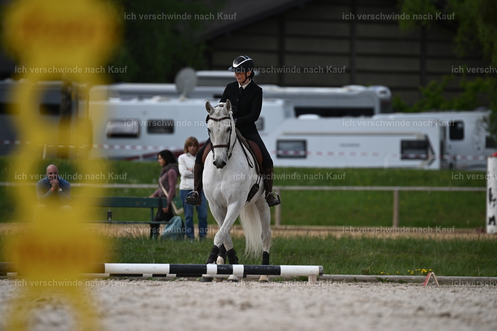 PI26_ST_Sara_Landvogt226_2311.JPG | working equitationturnier fotograf videograf stoibphotography marixx film working equitation deutschland reitsport turnierfotografie eventfotografie equestrian events