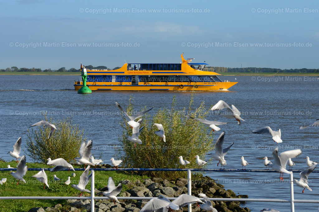 Fähre Lühe_ELS_6504a | Fotos aus den Touristenorten aus Norddeutschland. - Realisiert mit Pictrs.com