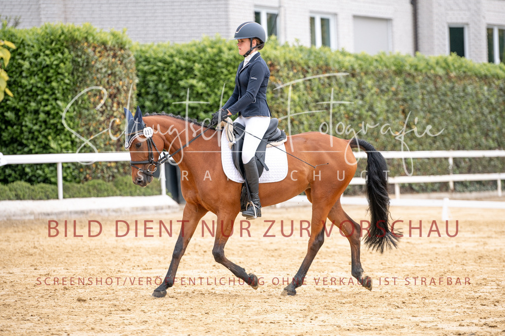 Schugtsche-Aluta25-40.DressurprfA_-337 | Schugtsche Fotografie - Realisiert mit Pictrs.com