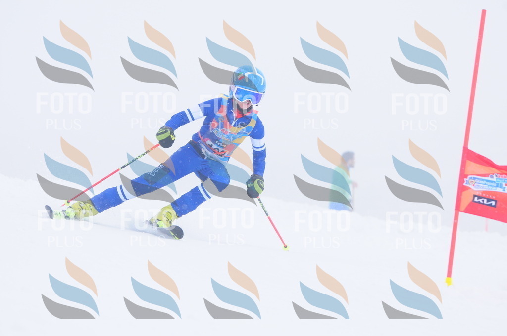 C2155 | holidayphoto