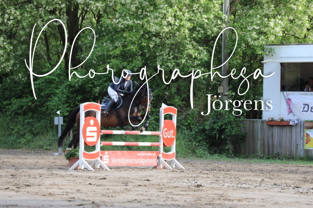 IMG_9065 | photographesa-joergens - Realisiert mit Pictrs.com