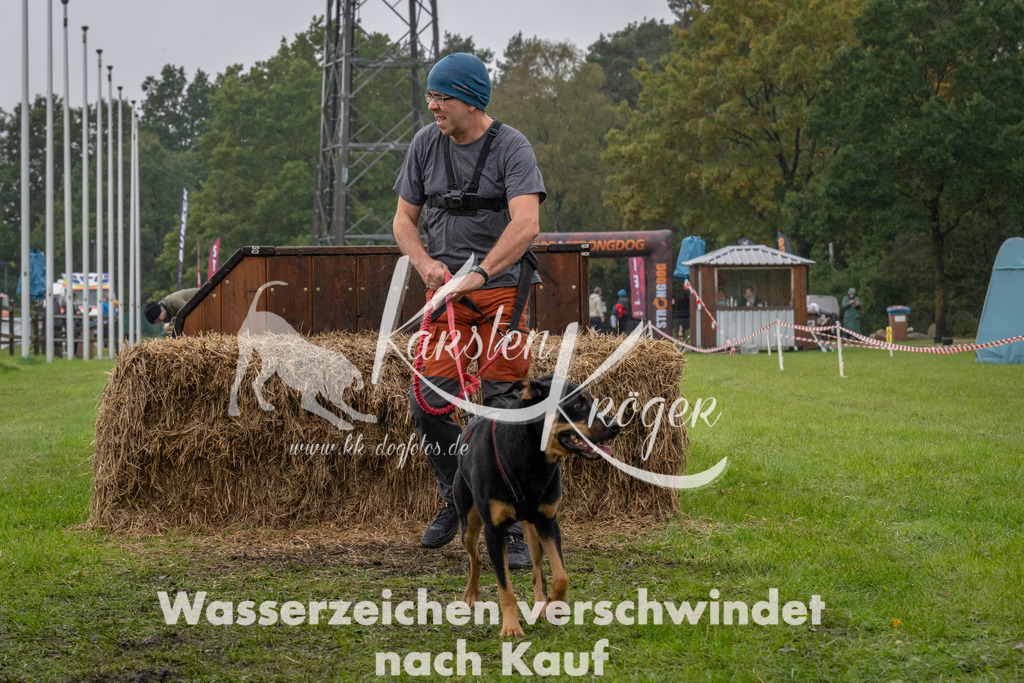 1333-93962 | kk-dogfotos