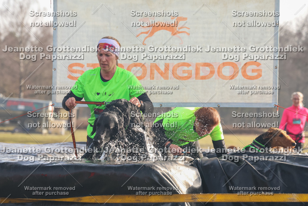 Dog Paparazzi - SD North 0326 900930-265 | Dog Paparazzi Jeanette Grottendiek Fotografie & Videografie - Realisiert mit Pictrs.com