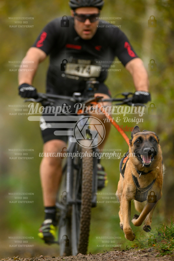 MompixPhotography_20TSB_E6_Bike-119 | mompixphotography