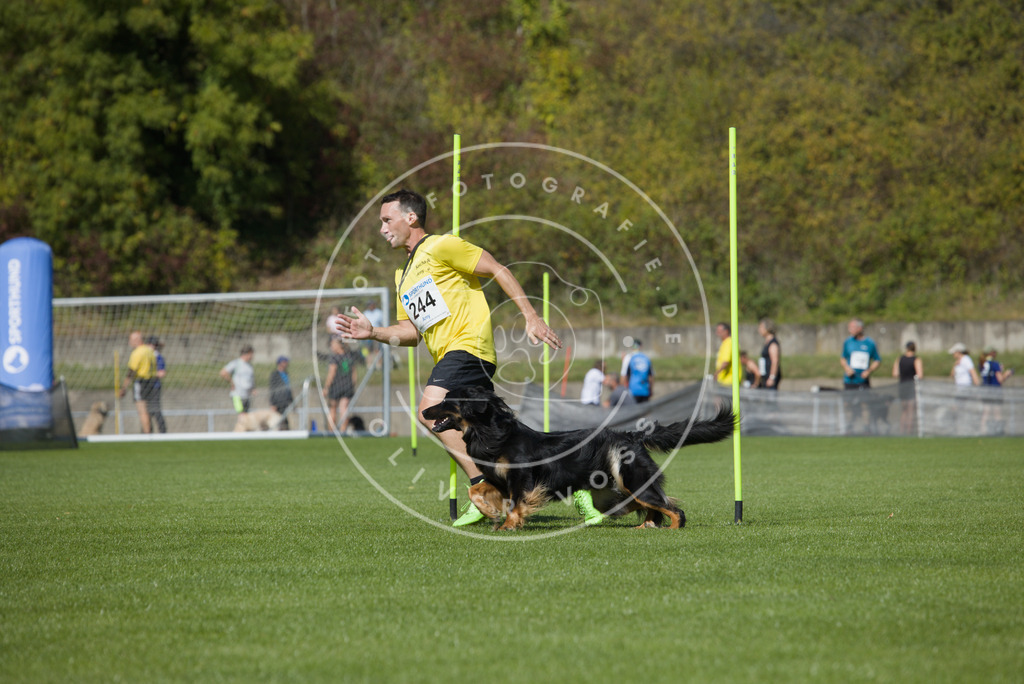 0L8A6200 | Hundefotografie, Tierfotograf, Pfotenfotografie, Fotoshooting Hund, Hunde Portrait, Hundesport, Hundeportraits, Heideshooting, Hunde, Sportfotograf, Hundefotograf, Turnierhundsport, THS,  - Realisiert mit Pictrs.com