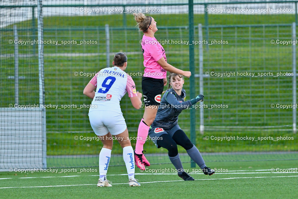 Liwodruck Carinthians Hornets vs. FK Austria Wien Frauen 19.11.2023 | #9 Alisa Ziletkina, #27 Jasmin Michelle Ortner, #1 Anja Meier