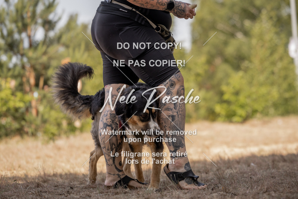 nelerasche_soDD2_242 | nelerasche