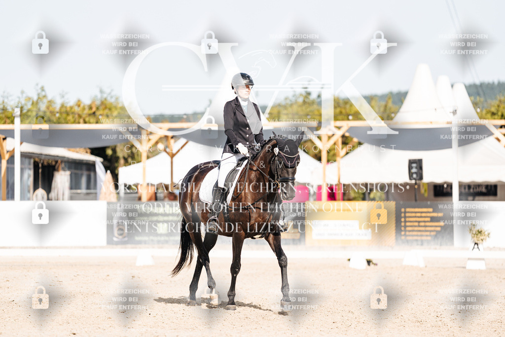 CK905572 | Turnierfotografie Pferdefotografie Trier Rheinland-Pfalz Pferdesport Reitsport Tierfotografie Sportfotografie Pferdevideo Pferdevideografie Equestrianvideography equestrianphotography  - Realisiert mit Pictrs.com