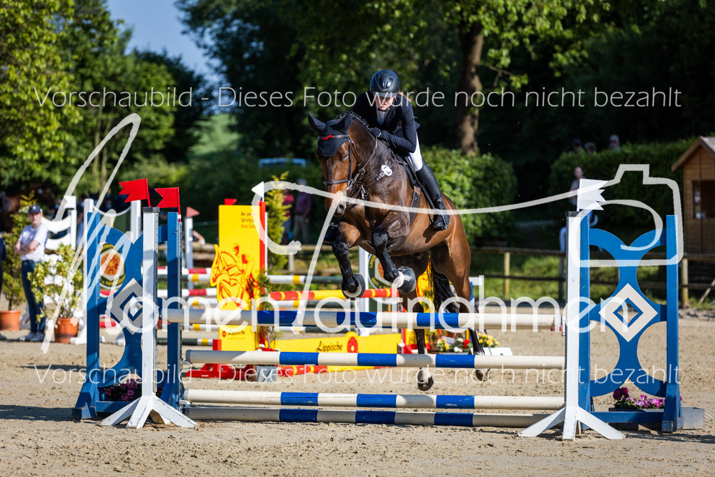 Donop24-ASpr-108 | MomenTaufnahmen Pferdesportfotos