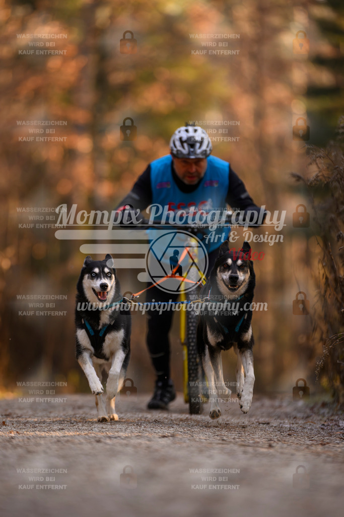 MompixPhotography_DM_AKDM_SO_2025_Scooter-64 | PayLife