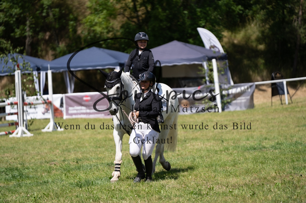 A7V06268 | Pferdefotograf