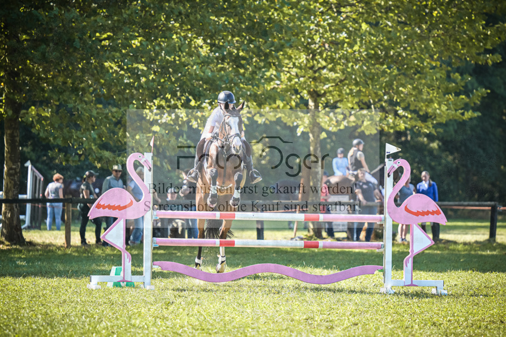 DOS_0083 | Entdecke hochwertige Reitturnierfotos von Foto Oger. Professionell, emotional und authentisch – jetzt Lieblingsmomente im Shop bestellen.Deutschlandweite Turnierfotografie. - Realisiert mit Pictrs.com