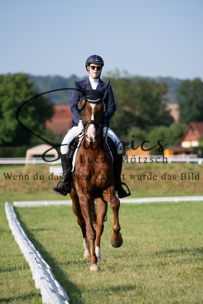 A7V09217 | Pferdefotograf