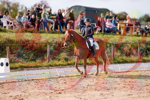 2026_10_03_Siefer-Hof_115946_Z81_00852226 | Professionelle Reitsport-, Turnier- und Eventfotografie von Robert Broda. Galerien mit ausgewählten und bearbeiteten Bildern direkt online ansehen und bestellen.