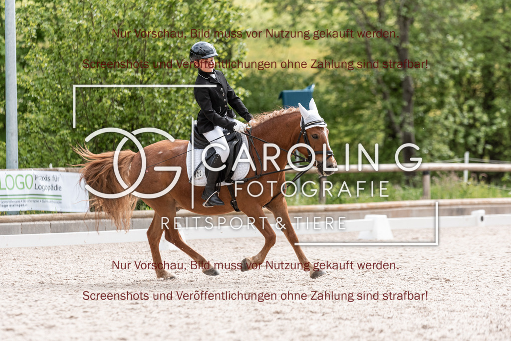 DSC_8573 | Turnierfotografin Carolin Gieschke, Turnierfotografie Carolin G Fotografie, Turnierfotos Kirchheim/Teck, Esslingen, Stuttgart, Bodenseekreis