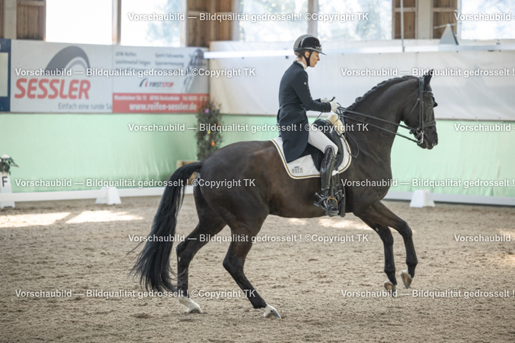 _D5A0320 | Emotionale Pferde- & People-Fotografie rund um Heidelberg, Leimen & Umgebung. Natürliche Fotos von Pferd, Mensch & Familie. Jetzt Termin sichern!