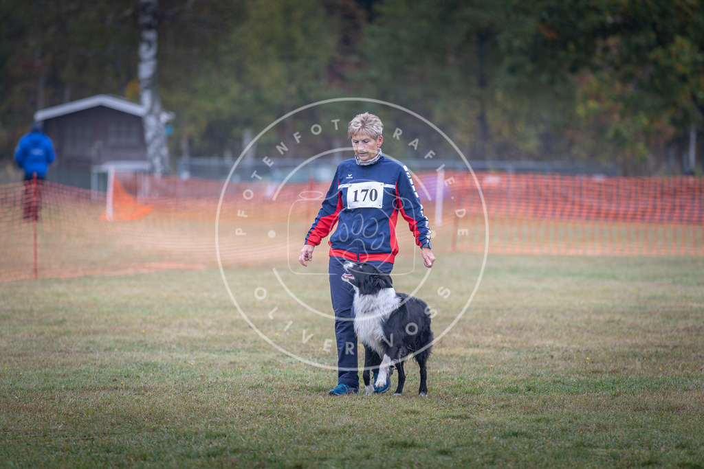 Pfotenfotografie_DV3A9111 | Hundefotografie, Tierfotograf, Pfotenfotografie, Fotoshooting Hund, Hunde Portrait, Hundesport, Hundeportraits, Heideshooting, Hunde, Sportfotograf, Hundefotograf, Turnierhundsport, THS,  - Realisiert mit Pictrs.com