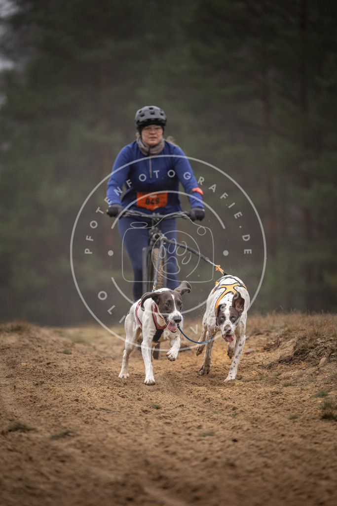 Pfotenfotografie_DV3A1170 | Hundefotografie, Tierfotograf, Pfotenfotografie, Fotoshooting Hund, Hunde Portrait, Hundesport, Hundeportraits, Heideshooting, Hunde, Sportfotograf, Hundefotograf, Turnierhundsport, THS,  - Realisiert mit Pictrs.com