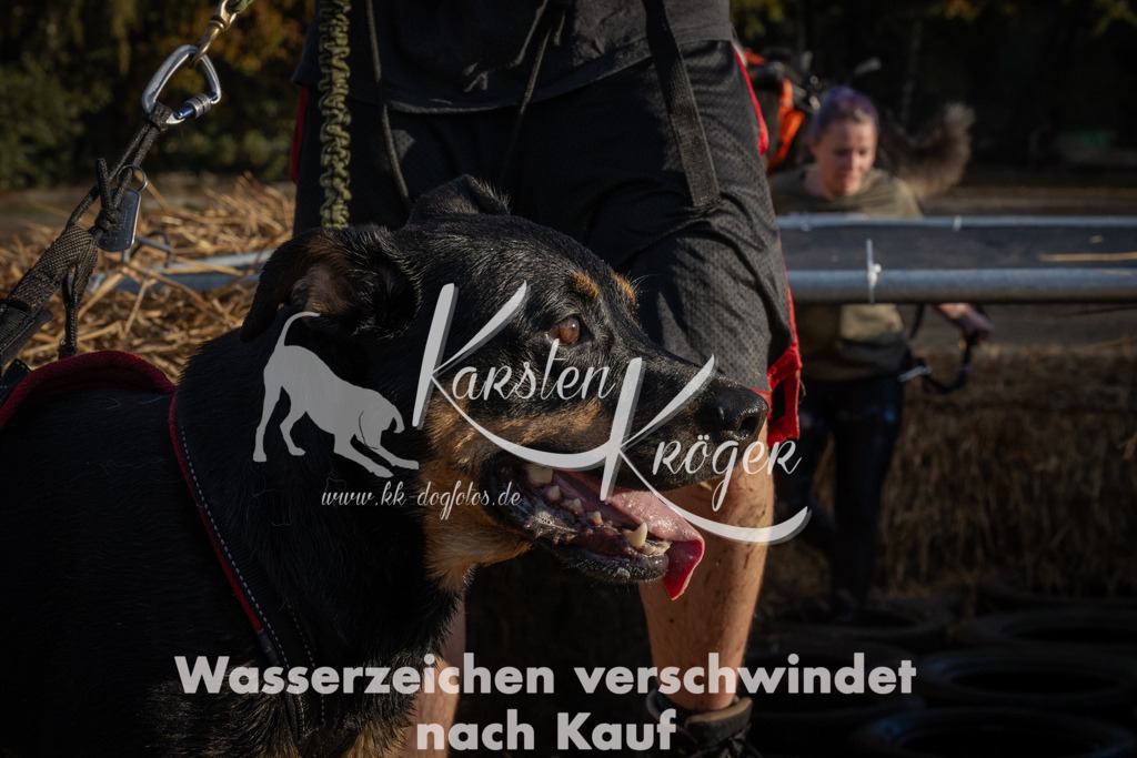 0945_ZZ94529 | kk-dogfotos