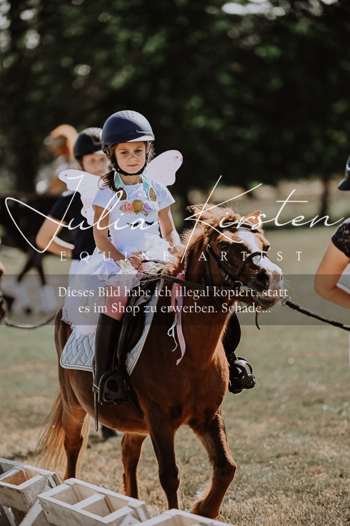 DSC_9133 | Pferde- und Turnierfotografie in Westsachsen. Pferdeportraits, Auftragszeichnungen und intuitive Kunst.