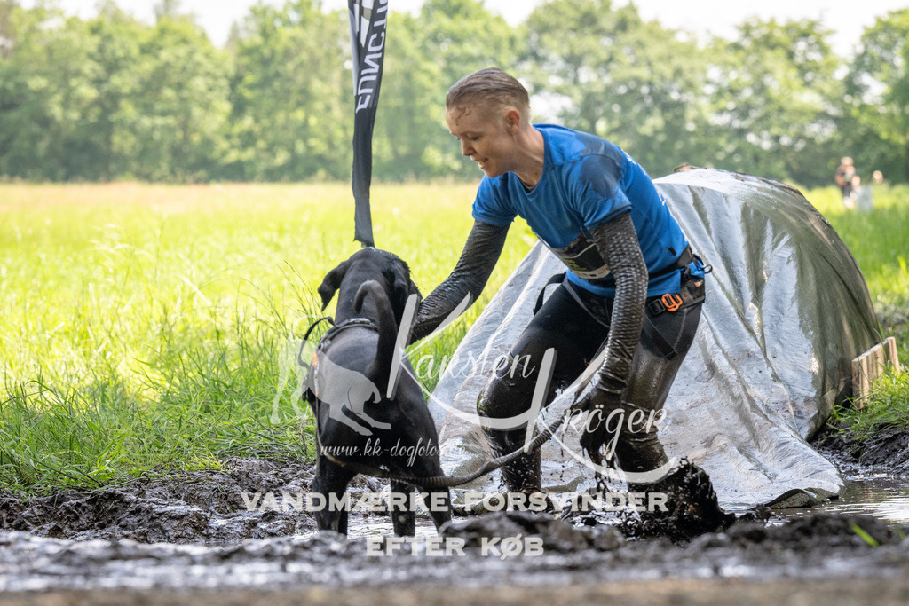 1153_ZZ90042 | kk-dogfotos