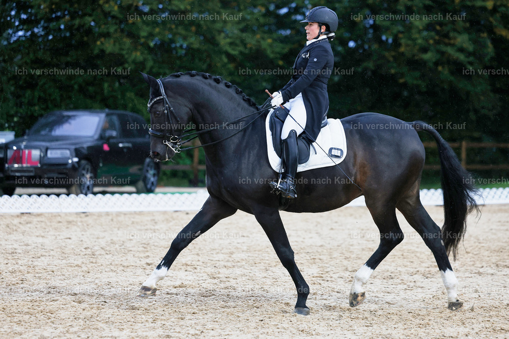 8_2-183-DRESSUR S_  -StoibPH-4555 | working equitationturnier fotograf videograf stoibphotography marixx film working equitation deutschland reitsport turnierfotografie eventfotografie equestrian events