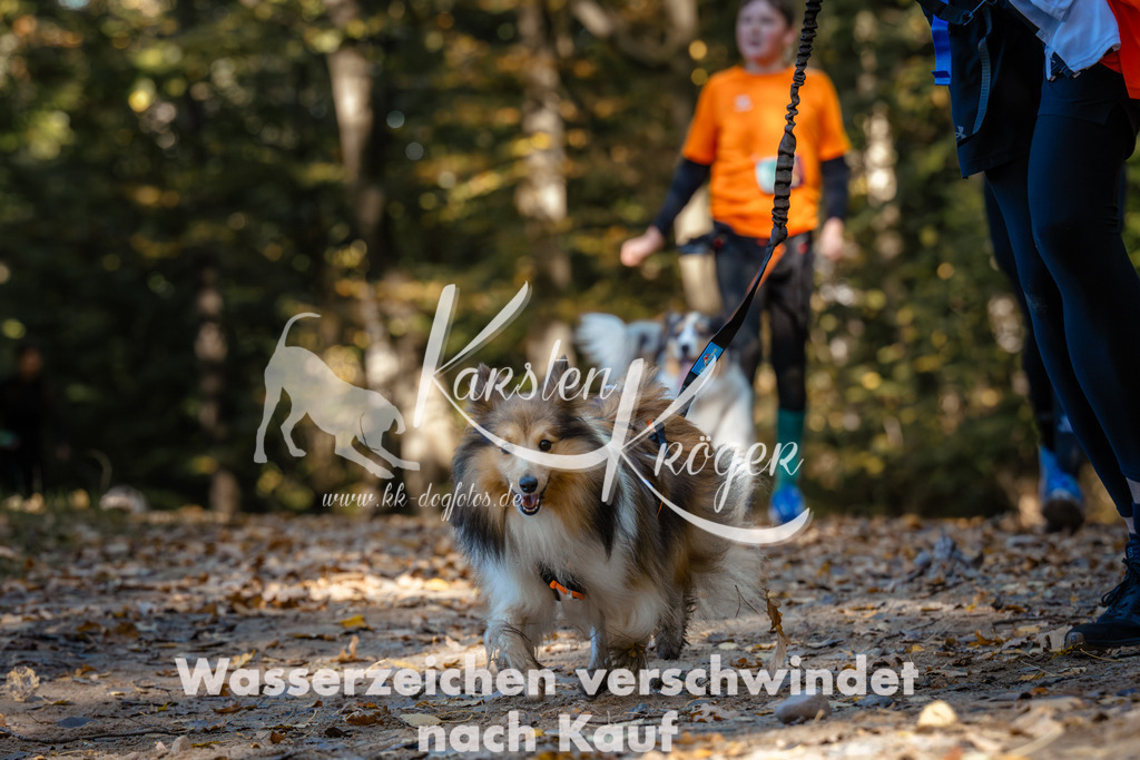 1118_ZZ91918 | kk-dogfotos