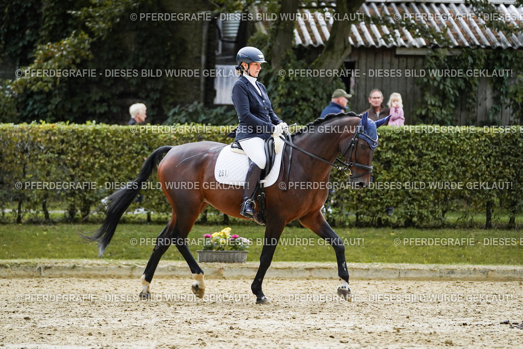 DSC00007 | Pferdegrafie