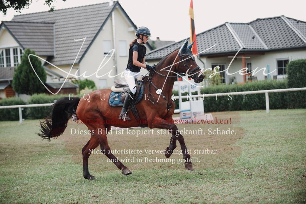 DSC_5725 | Pferde- und Turnierfotografie in Westsachsen. Pferdeportraits, Auftragszeichnungen und intuitive Kunst.