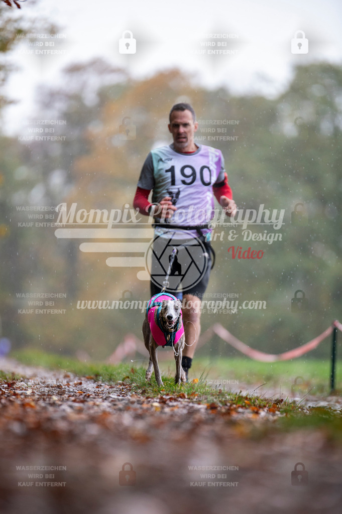 DBT_DAKM_SA_4_11_2023_Canicross-59 | PayLife