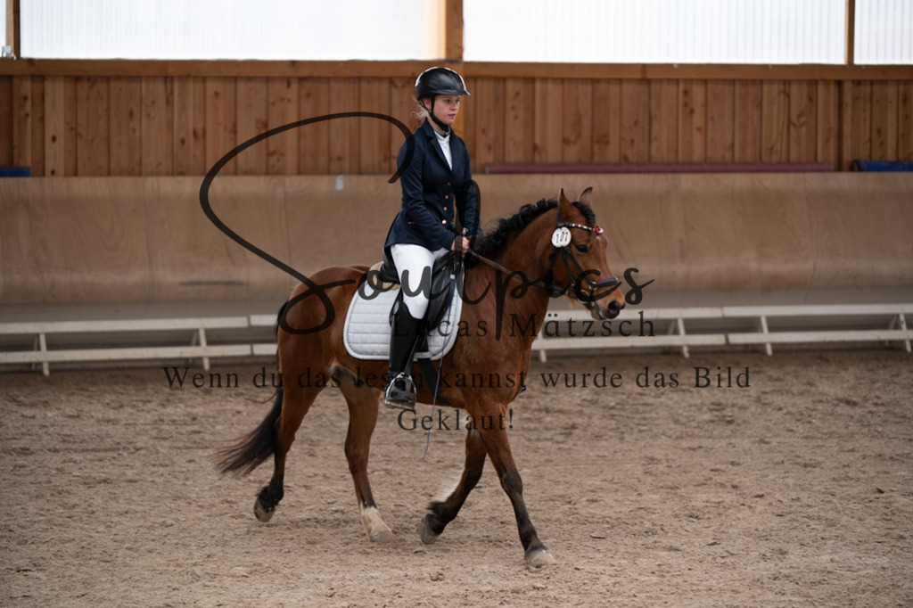 A7V09520 | Pferdefotograf