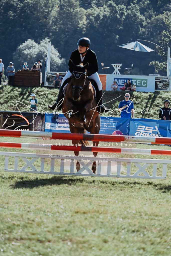 DSC_5451 | Pferde- und Turnierfotografie in Westsachsen. Pferdeportraits, Auftragszeichnungen und intuitive Kunst.