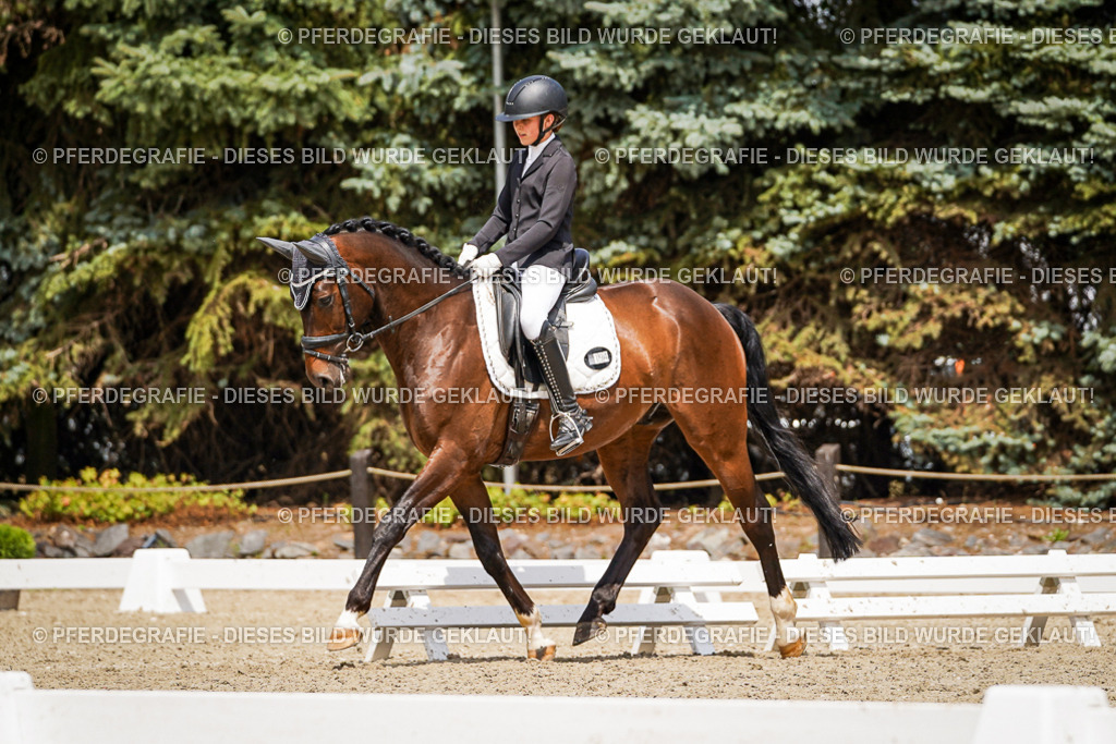 DSC02944 | Pferdegrafie