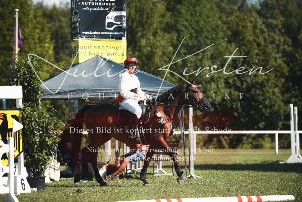 DSC_7394 | Pferde- und Turnierfotografie in Westsachsen. Pferdeportraits, Auftragszeichnungen und intuitive Kunst.