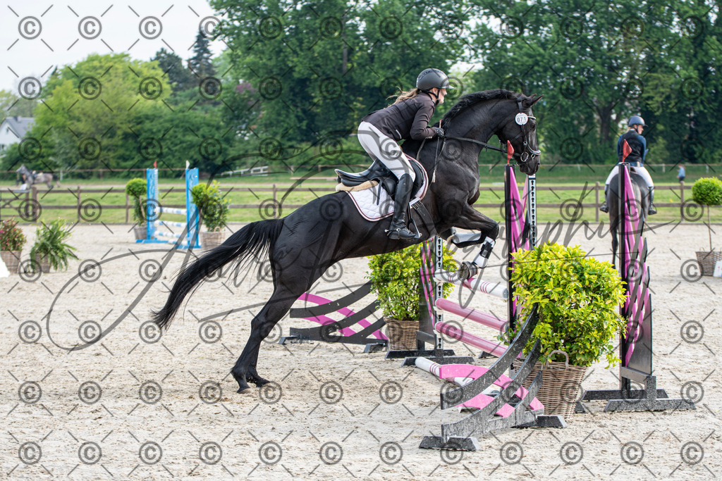 KPT_2036 | andre_photographic