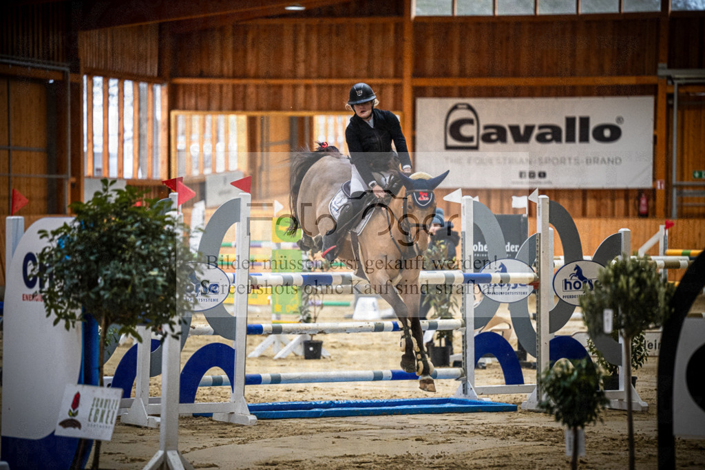 DOS_0292 | Entdecke hochwertige Reitturnierfotos von Foto Oger. Professionell, emotional und authentisch – jetzt Lieblingsmomente im Shop bestellen.Deutschlandweite Turnierfotografie. - Realisiert mit Pictrs.com