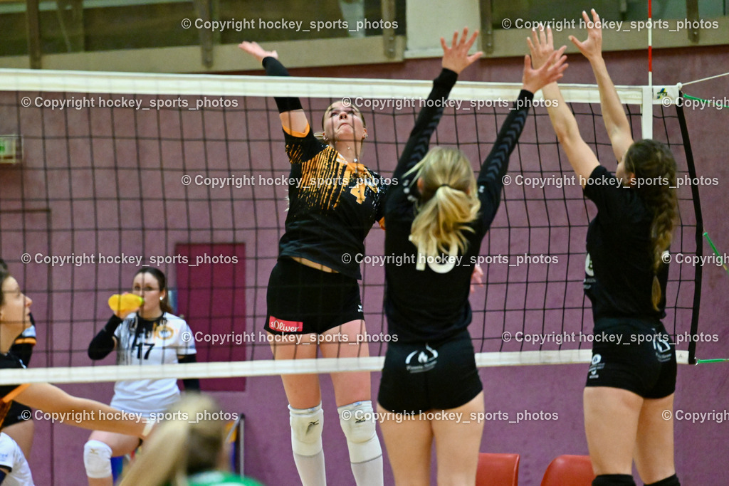 ASKÖ Volley Eagles Villach vs. VC Hausmannstätten | #4 KOOPMAN Marjon ASKÖ Volley Eagles Villach, #10 MAROLD-ORTNER Nicole VC Hausmannstätten, #2 WAILLAND Katharina VC Hausmannstätten, ASKÖ Volley Eagles Villach vs. VC Hausmannstätten, ASKÖ Volley Eagles Villach vs. VC Hausmannstätten am 01.02.2025 in Villach (Ballspielhalle Lind), Austria, (Photo by Bernd Stefan)