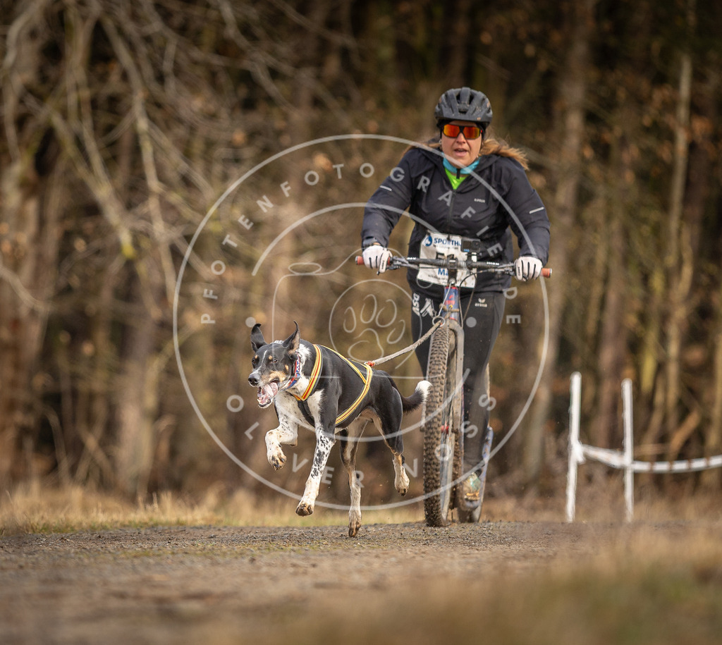 DV3A3430 | Hundefotografie, Tierfotograf, Pfotenfotografie, Fotoshooting Hund, Hunde Portrait, Hundesport, Hundeportraits, Heideshooting, Hunde, Sportfotograf, Hundefotograf, Turnierhundsport, THS,  - Realisiert mit Pictrs.com